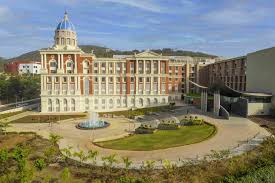 Symbiosis International University